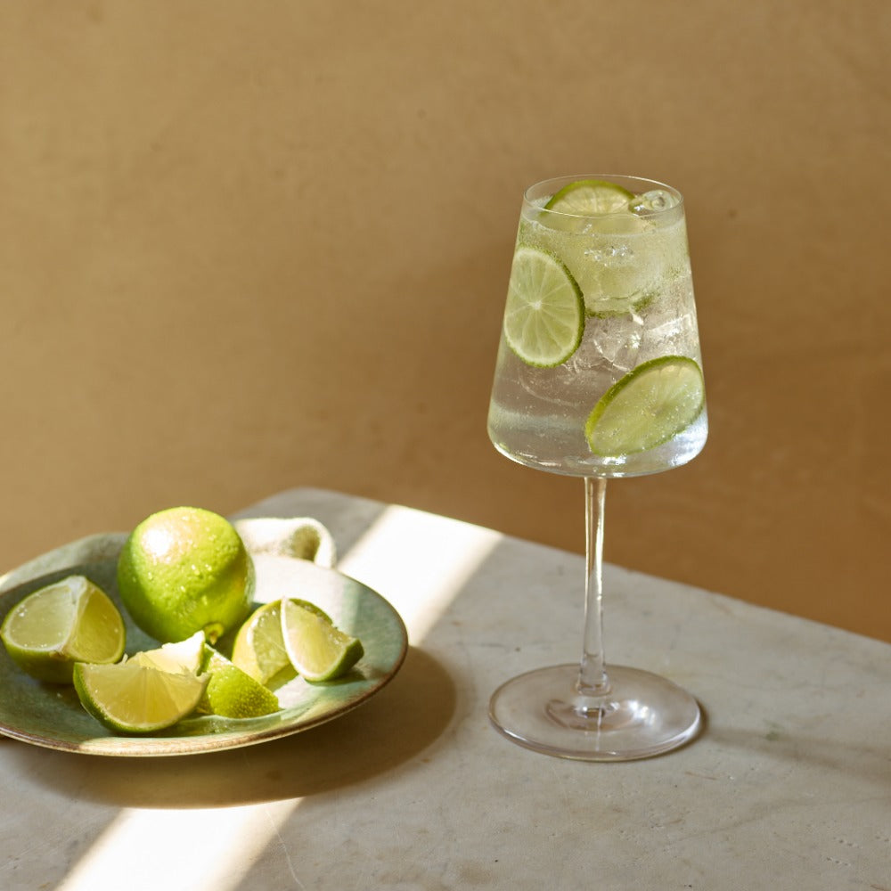 Non-alcoholic Gin & Tonic