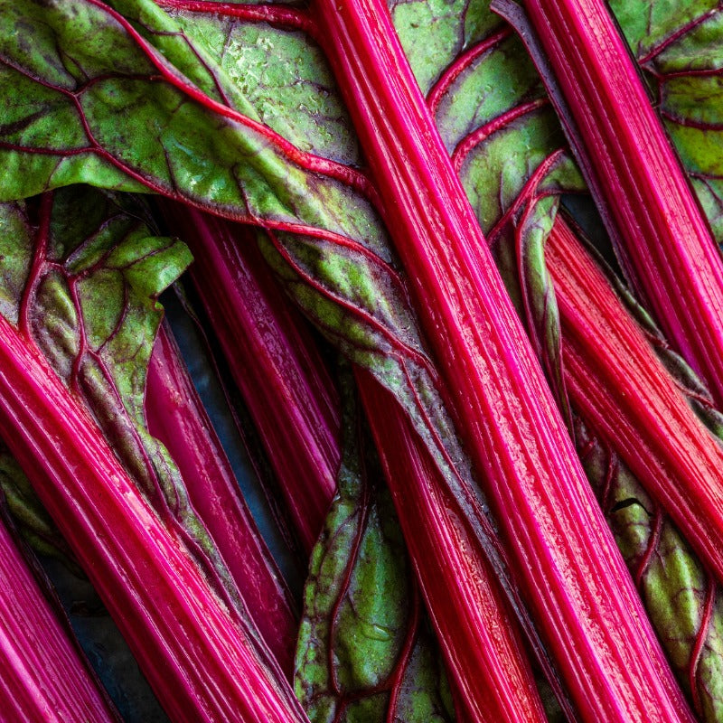 Rhubarb