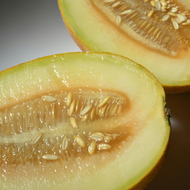 Sweet Melon